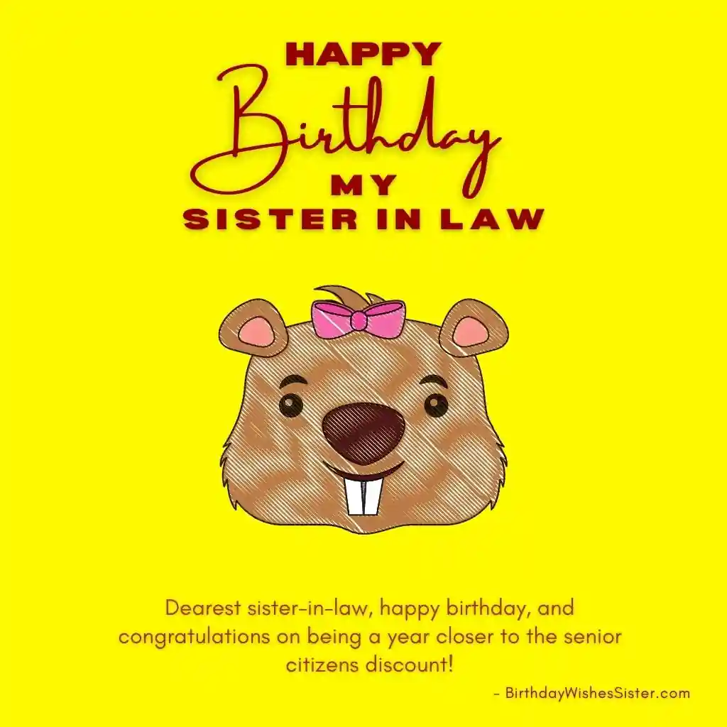Happy Birthday Sister In Law Images Funny